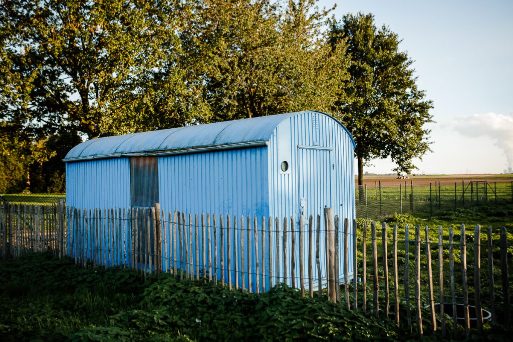 Sonnige Herbsthochzeit auf Schloss Dyck und im Cafe Floral ...